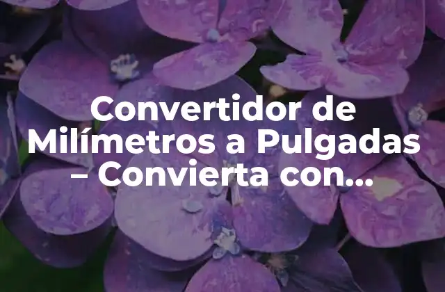 Convertidor de Milímetros a Pulgadas – Convierta con Precisión