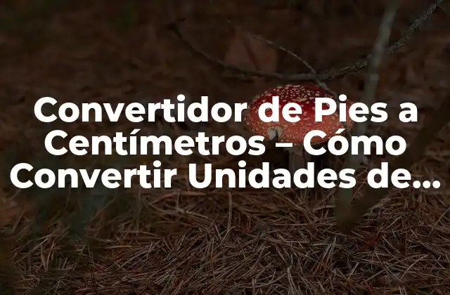 Convertidor de Pies a Centímetros – Cómo Convertir Unidades de Longitud