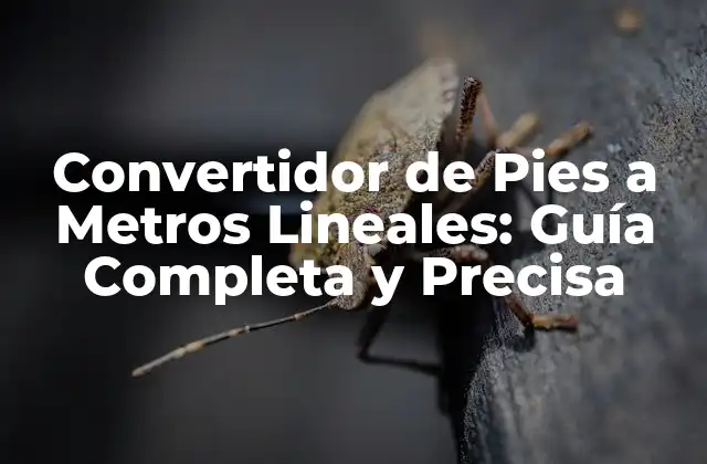 Convertidor de Pies a Metros Lineales: Guía Completa y Precisa