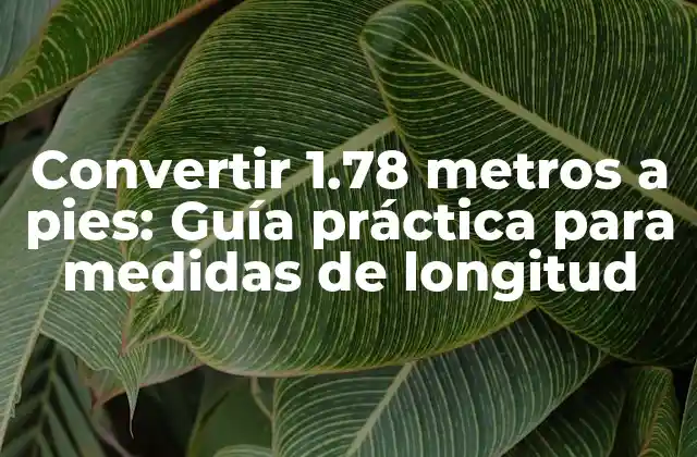 Convertir 1.78 Metros a Pies: Guía Práctica para Medidas de Longitud