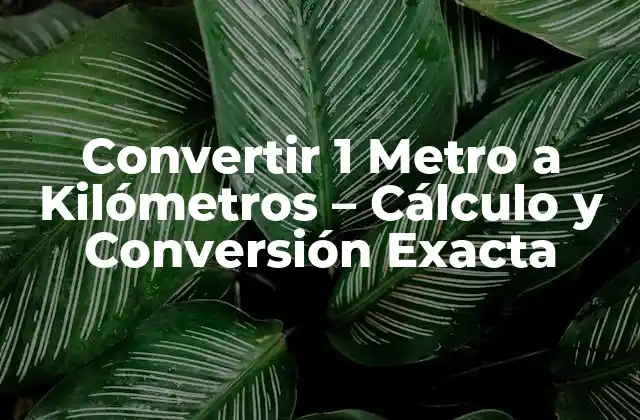 Convertir 1 Metro a Kilómetros – Cálculo y Conversión Exacta