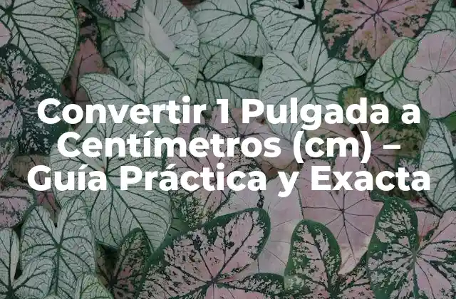 Convertir 1 Pulgada a Centímetros (cm) – Guía Práctica y Exacta