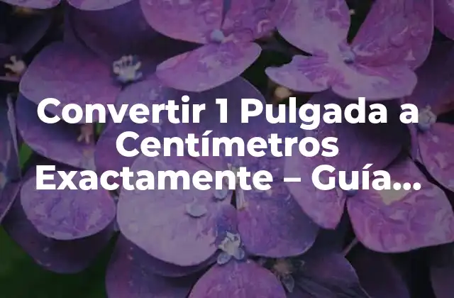 Convertir 1 Pulgada a Centímetros Exactamente – Guía Detallada