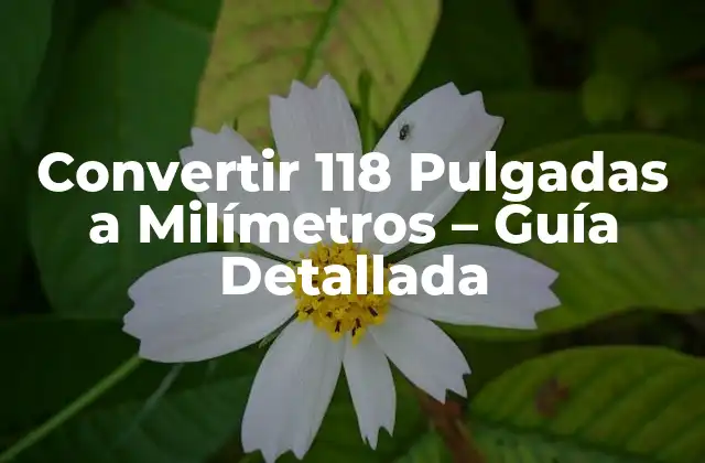 Convertir 118 Pulgadas a Milímetros - Guía Detallada 2 ¿Por qué es Importante la Precisión en la Conversión de Unidades?