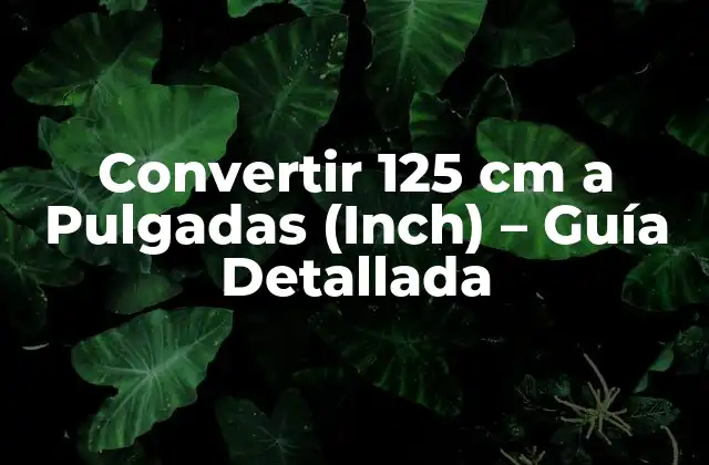 Convertir 125 Cm a Pulgadas (inch) – Guía Detallada