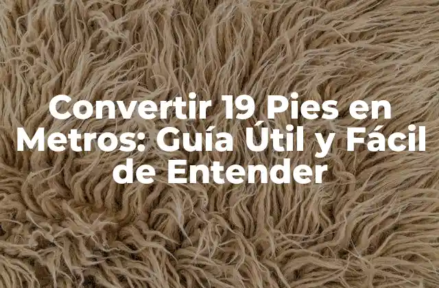 Convertir 19 Pies en Metros: Guía Útil y Fácil de Entender
