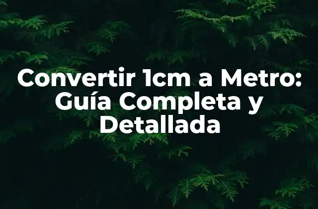 Convertir 1cm a Metro: Guía Completa y Detallada