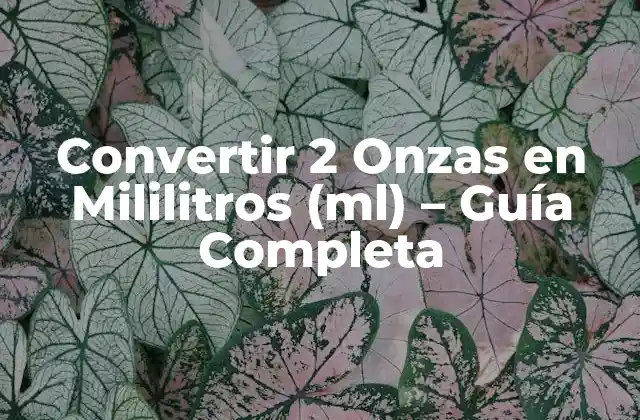 Convertir 2 Onzas en Mililitros (ml) – Guía Completa