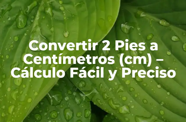 Convertir 2 Pies a Centímetros (cm) – Cálculo Fácil y Preciso