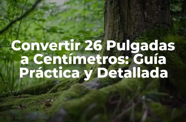Convertir 26 Pulgadas a Centímetros: Guía Práctica y Detallada