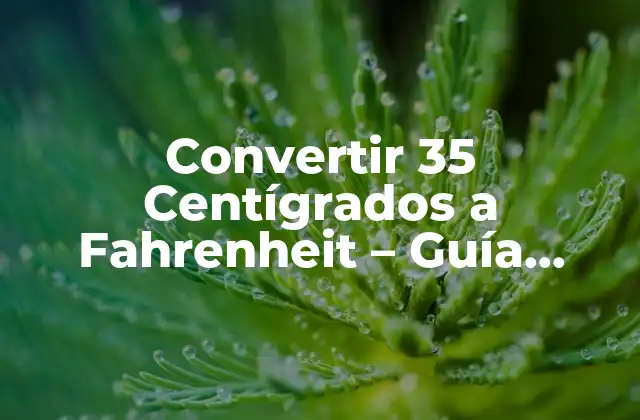 Convertir 35 Centígrados a Fahrenheit – Guía Completa