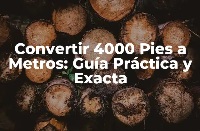Convertir 4000 Pies a Metros: Guía Práctica y Exacta 2 ¿Por qué es Importante Convertir 4000 Pies a Metros?