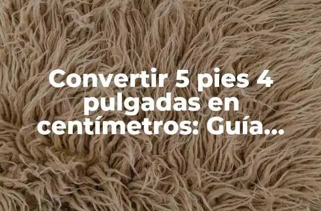 Convertir 5 Pies 4 Pulgadas en Centímetros: Guía Precisa y Detallada