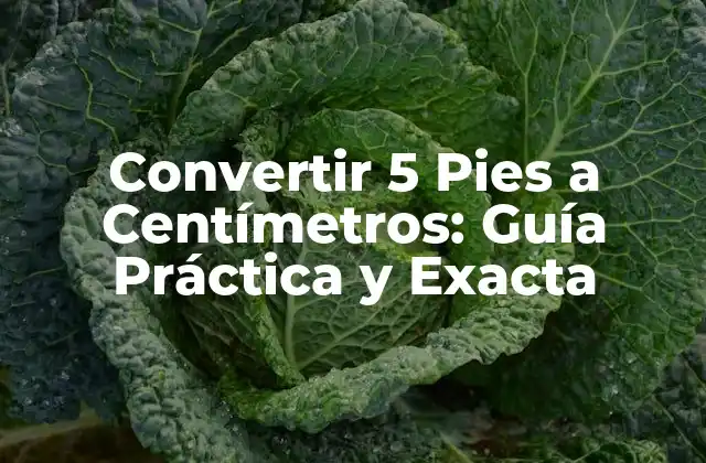 Convertir 5 Pies a Centímetros: Guía Práctica y Exacta