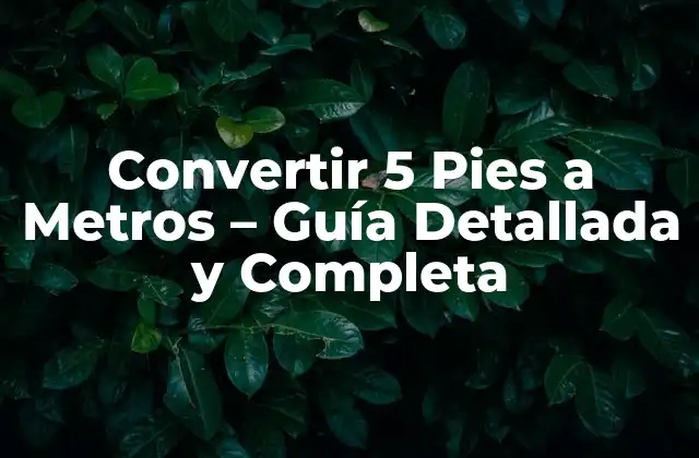 Convertir 5 Pies a Metros – Guía Detallada y Completa