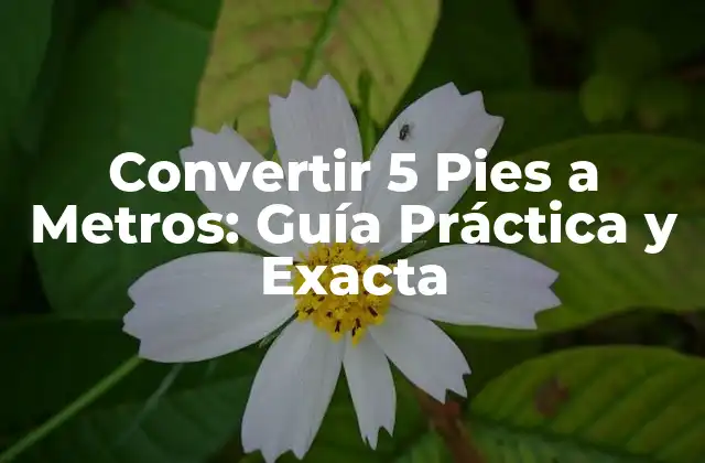 Convertir 5 Pies a Metros: Guía Práctica y Exacta 2 ¿Qué es un Pie y un Metro?