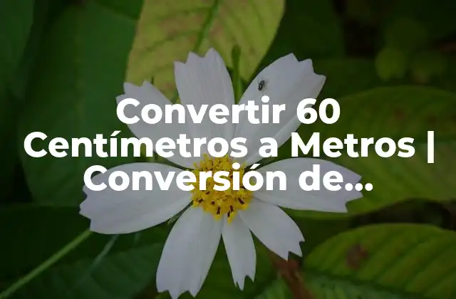 Convertir 60 Centímetros a Metros | Conversión de Unidades 2 ¿Qué son los Centímetros y los Metros?