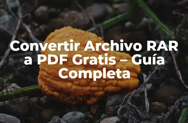 Convertir Archivo Rar a Pdf Gratis – Guía Completa