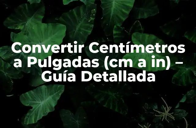 ¿Por qué es Importante Convertir Centímetros a Pulgadas?