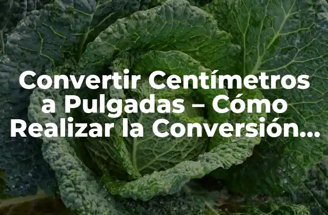 Convertir Centímetros a Pulgadas - Cómo Realizar la Conversión Correcta 2 ¿Por qué es Importante la Conversión de Centímetros a Pulgadas?
