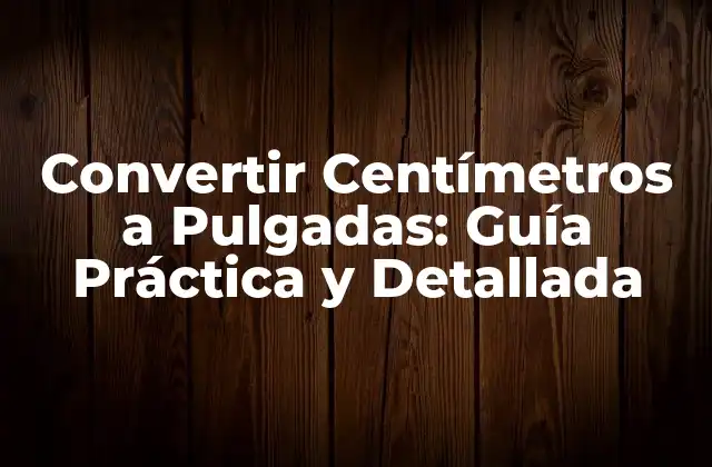 ¿Qué es un Centímetro?