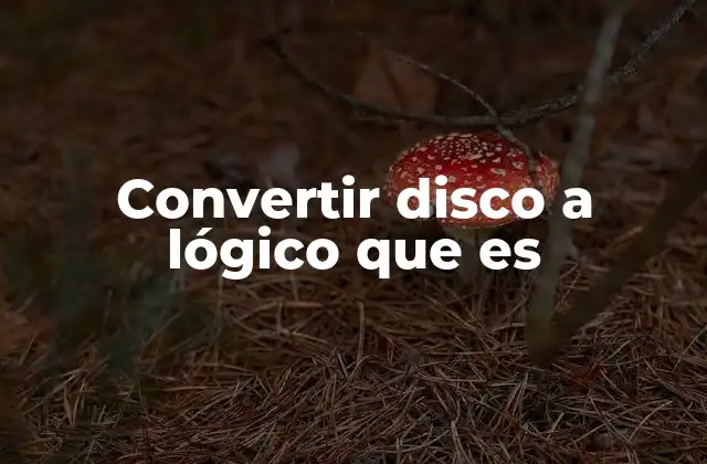 Convertir Disco a Lógico que es