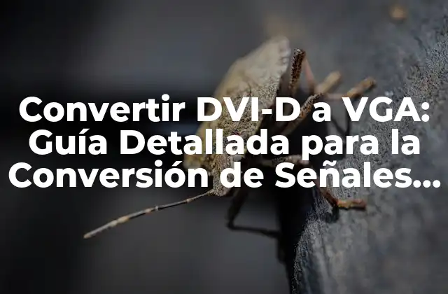Convertir Dvi-d a Vga: Guía Detallada para la Conversión de Señales de Vídeo