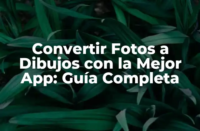 Convertir Fotos a Dibujos con la Mejor App: Guía Completa 2 ¿Qué son las Apps para Convertir Fotos a Dibujos?