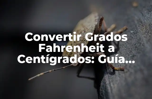 Convertir Grados Fahrenheit a Centígrados: Guía Completa y Exacta