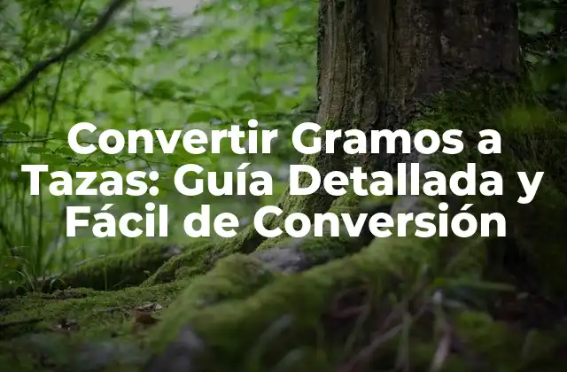 Convertir Gramos a Tazas: Guía Detallada y Fácil de Conversión