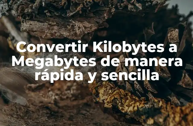 Convertir Kilobytes a Megabytes de Manera Rápida y Sencilla