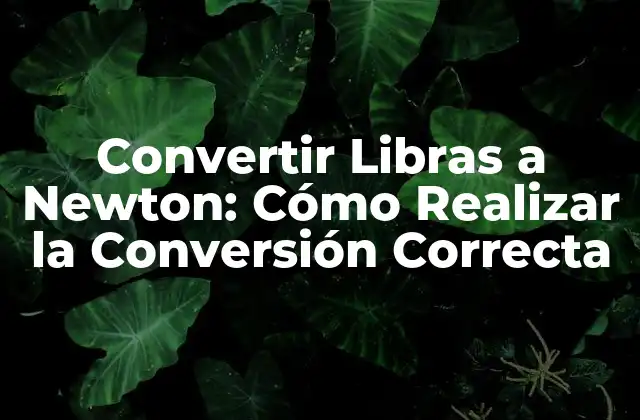 Convertir Libras a Newton: Cómo Realizar la Conversión Correcta