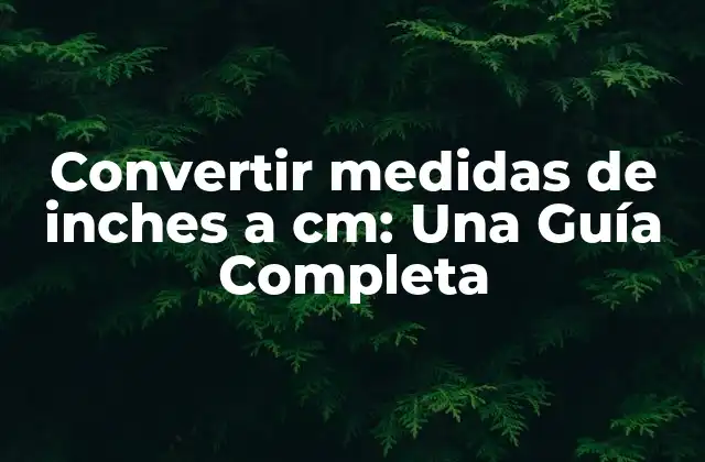 Convertir Medidas de Inches a Cm: una Guía Completa 2 ¿Por qué es importante convertir medidas de inches a cm?