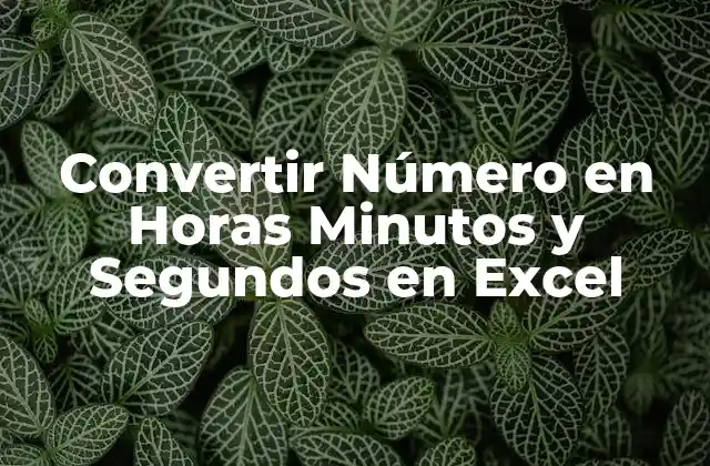 Convertir Número en Horas Minutos y Segundos en Excel