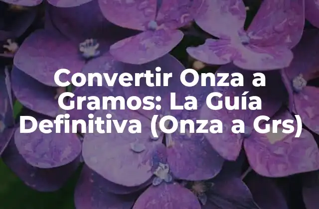 Convertir Onza a Gramos: la Guía Definitiva (onza a Grs)