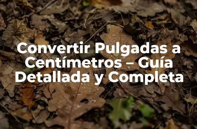 Convertir Pulgadas a Centímetros – Guía Detallada y Completa