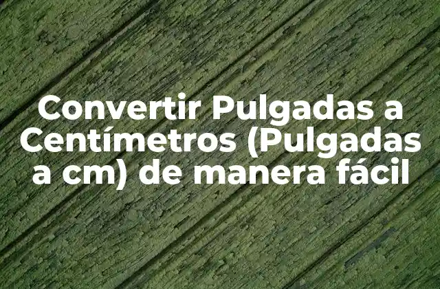 Convertir Pulgadas a Centímetros (pulgadas a Cm) de Manera Fácil