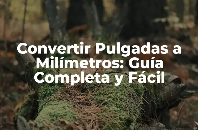Convertir Pulgadas a Milímetros: Guía Completa y Fácil