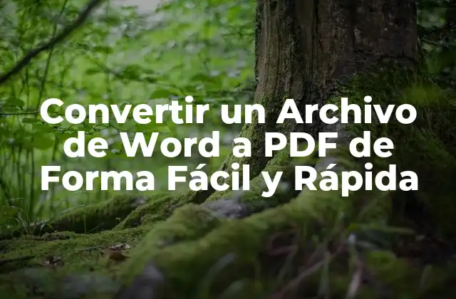 Convertir un Archivo de Word a Pdf de Forma Fácil y Rápida