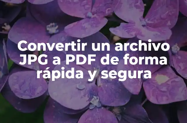 Convertir un Archivo Jpg a Pdf de Forma Rápida y Segura