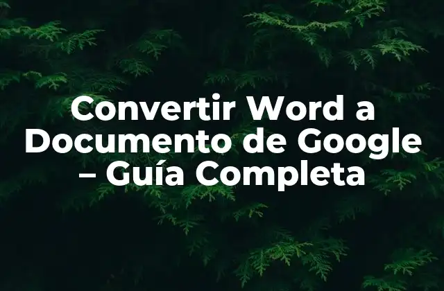 Convertir Word a Documento de Google – Guía Completa