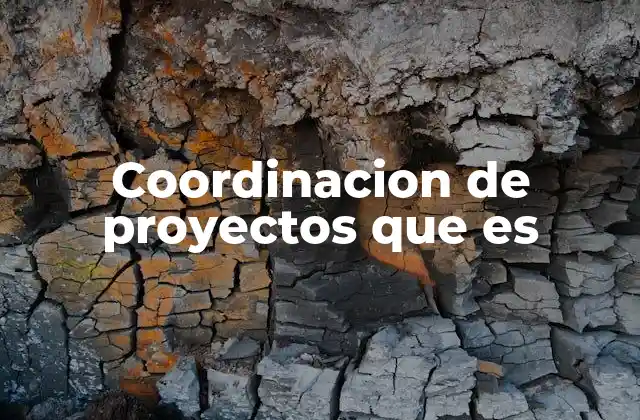 Coordinacion de Proyectos que es