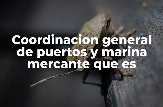 Coordinacion General de Puertos y Marina Mercante que es