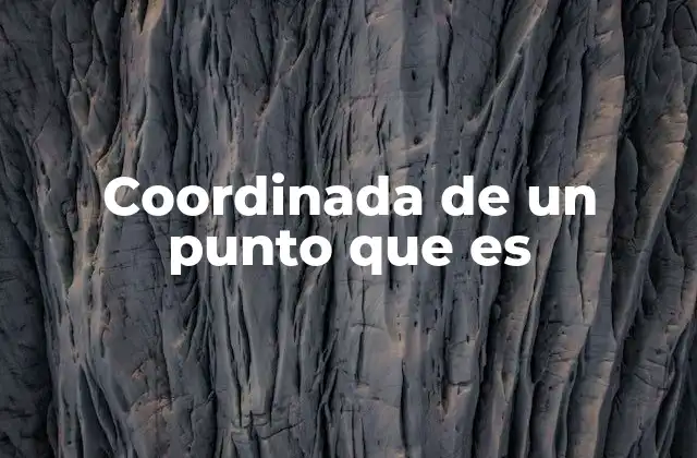Coordinada de un Punto que es 2 La importancia de las coordenadas en la representación espacial