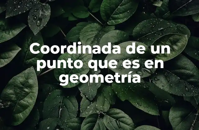 Coordinada de un Punto que es en Geometría 2 La importancia de las coordenadas en sistemas de referencia