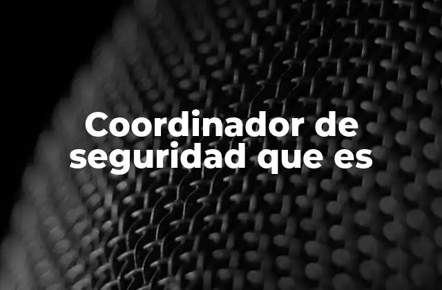 Coordinador de Seguridad que es