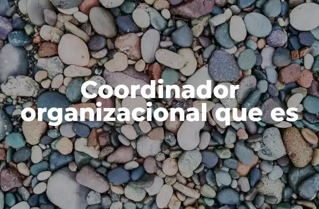 Coordinador Organizacional que es