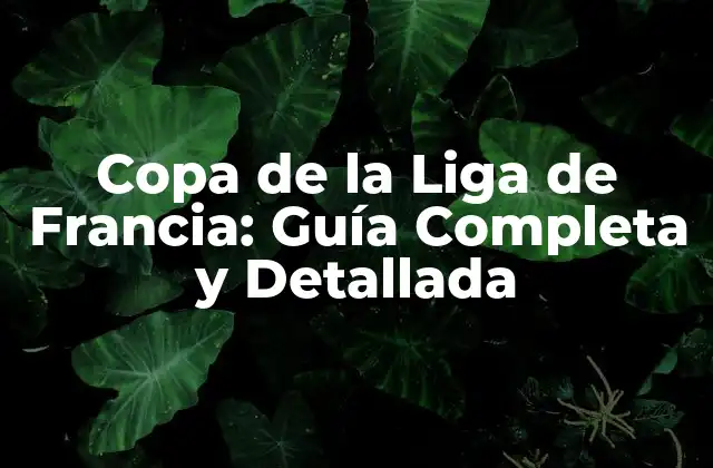 Copa de la Liga de Francia: Guía Completa y Detallada 2 Historia de la Copa de la Liga de Francia