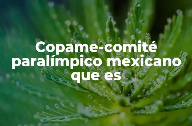 Copame-comité Paralímpico Mexicano que es
