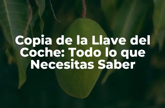 ¿Qué es una Copia de la Llave del Coche?